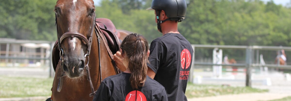 Equus project : respectueux du bien-être équin, au service du mieux-être humain