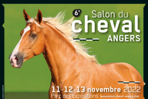 salon du Cheval d'Angers we horse green rylife